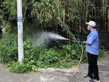 官窑灭蚊虫——绿化带消杀预防基孔肯雅热的方法